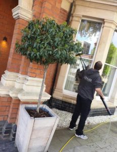 Window Cleaning